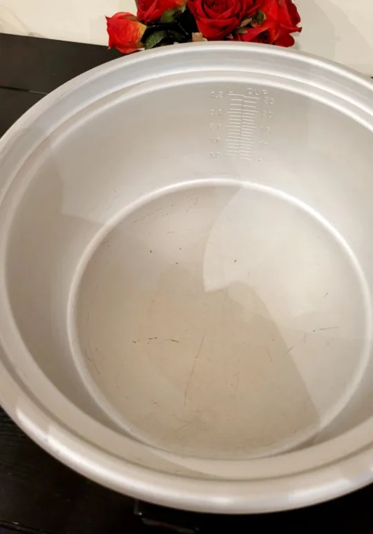 Panasonic Rice Cooker image indicator(2)