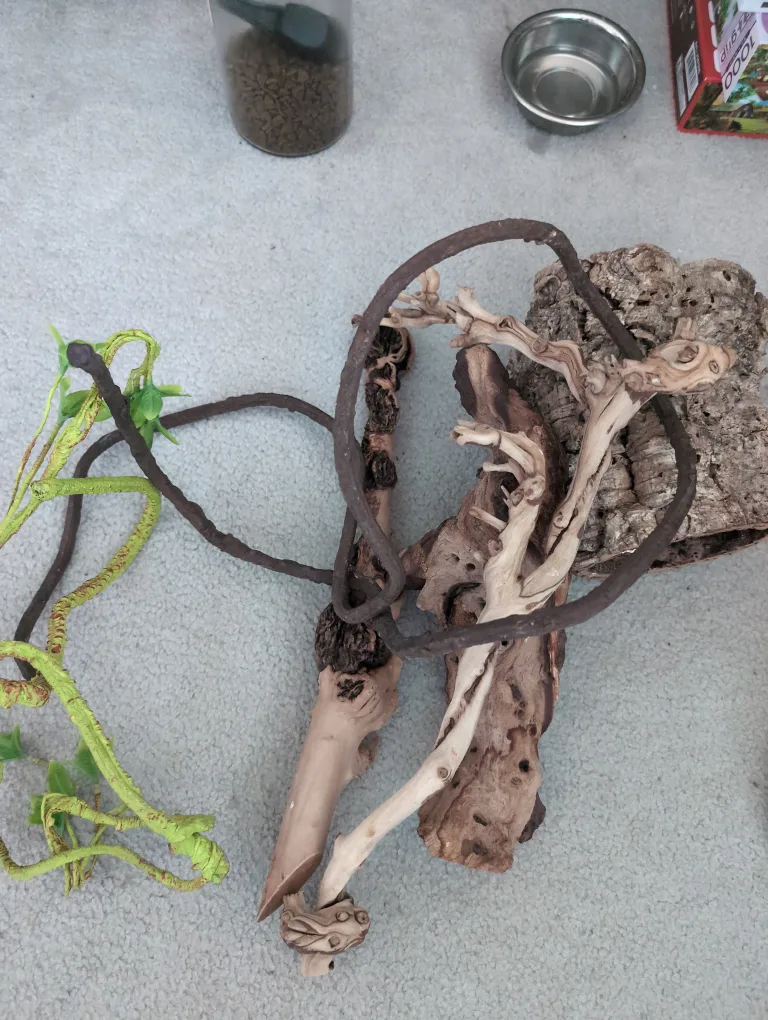 Exo Terra Glass Terrarium image indicator(3)