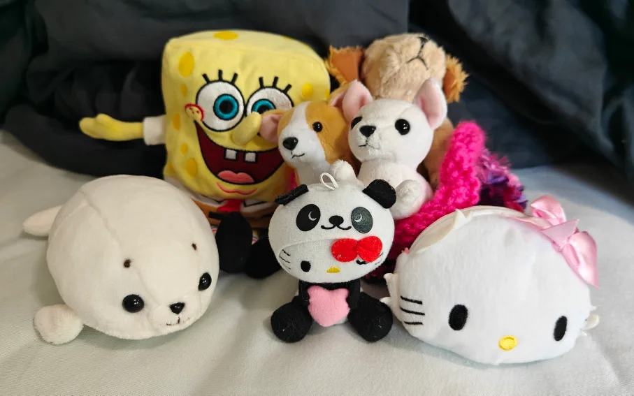Kawaii Plush Toy Bundle with Pink Box Included 💖🧡 image indicator(10)