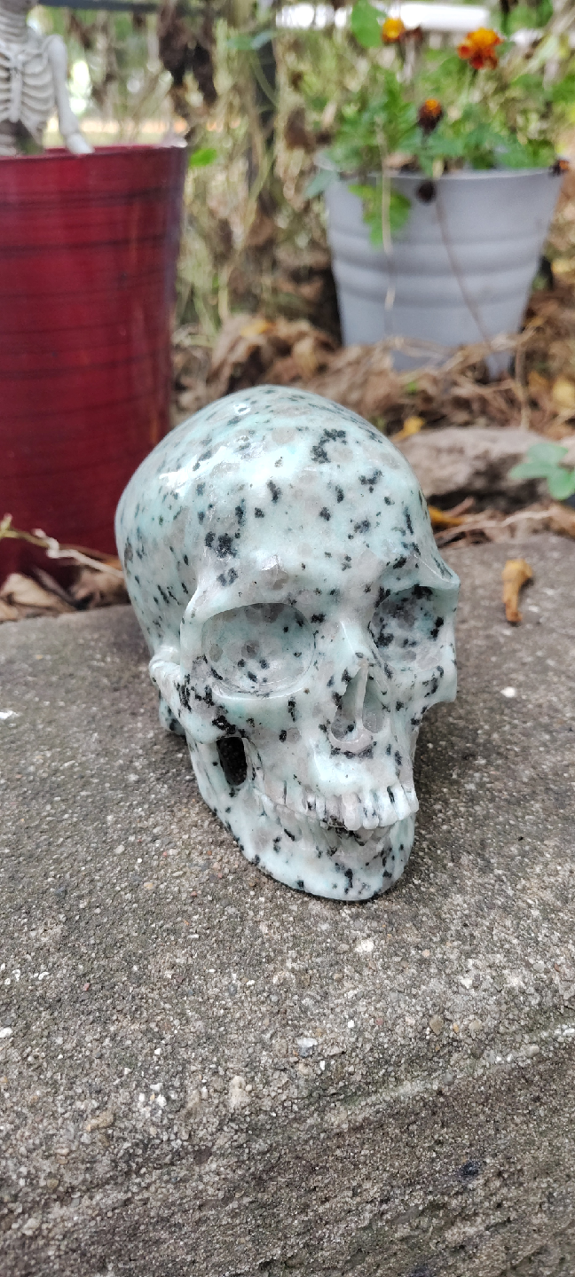 Kiwi jasper skull