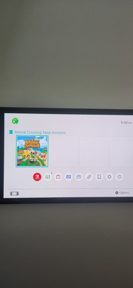 Animal Crossing: New Horizons for Nintendo Switch - photo 4