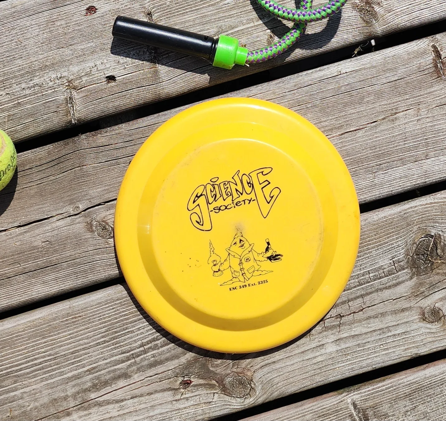Frisbee 🥕 thumbnail