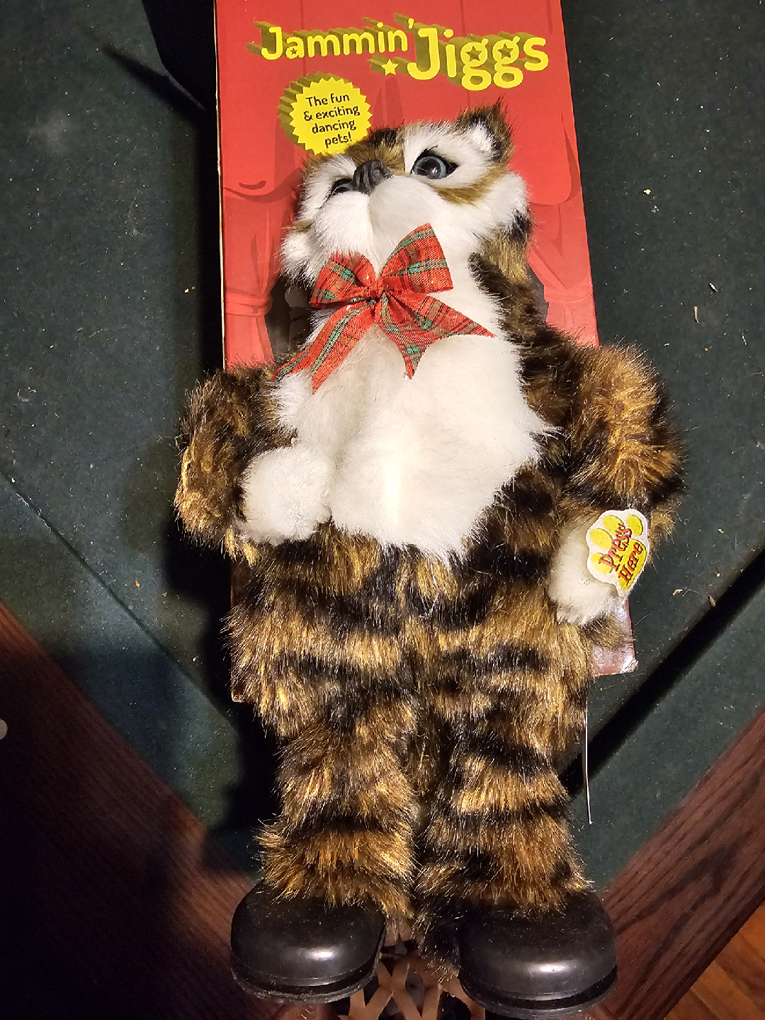 Jamming Jiggs dancing cat - photo 3