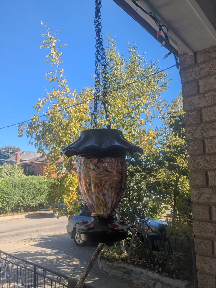 Hanging Bird Feeder - Glass & Metal thumbnail