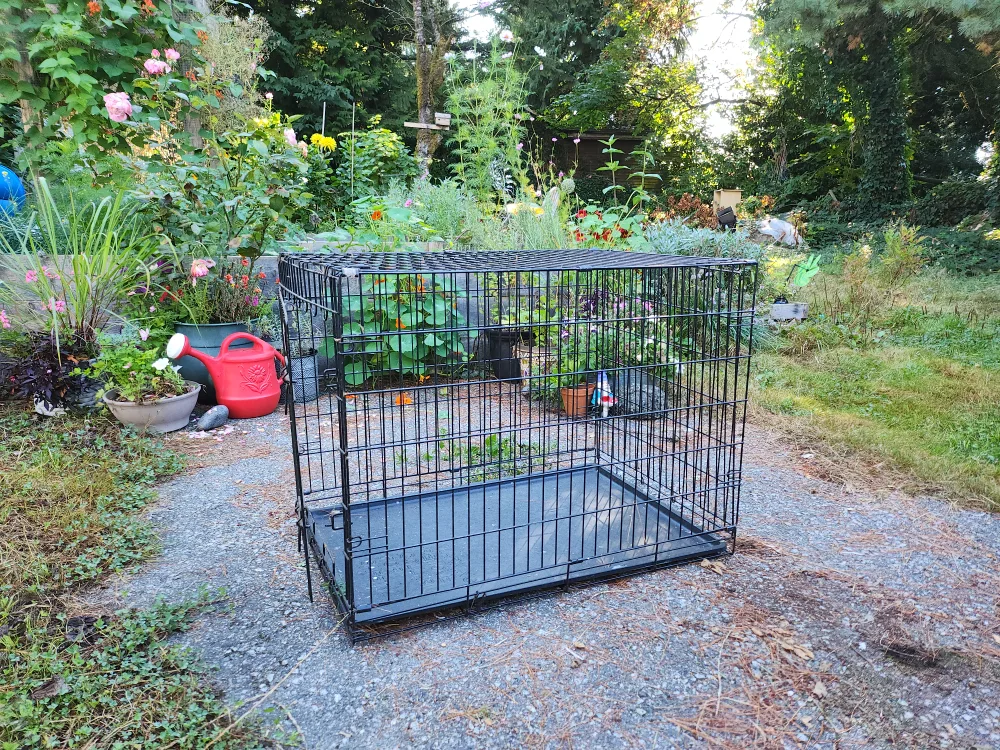 Large Dog Crate thumbnail