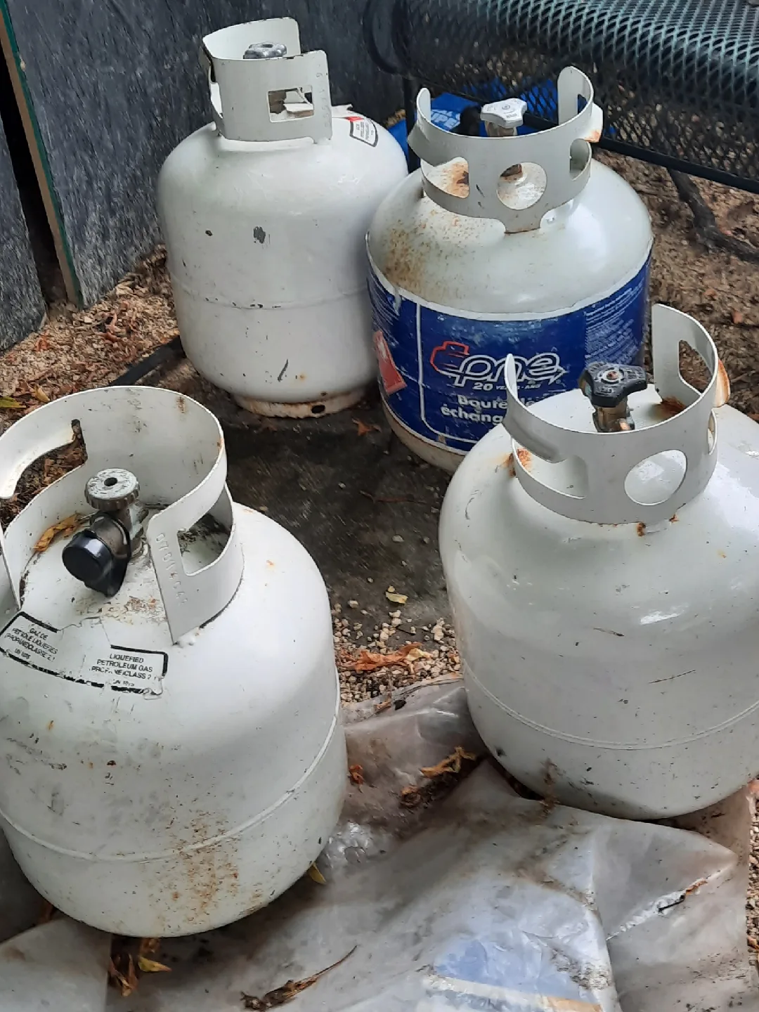 Propane Tanks - 20 lb thumbnail