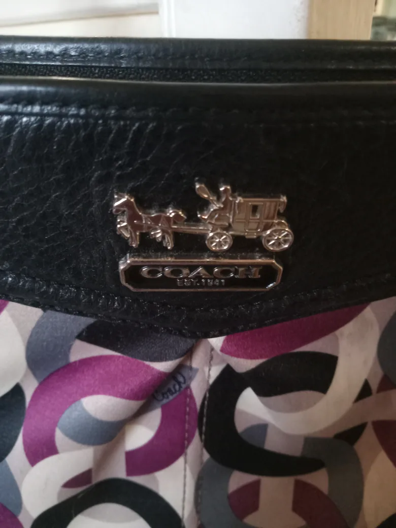 Coach Handbag image indicator(3)