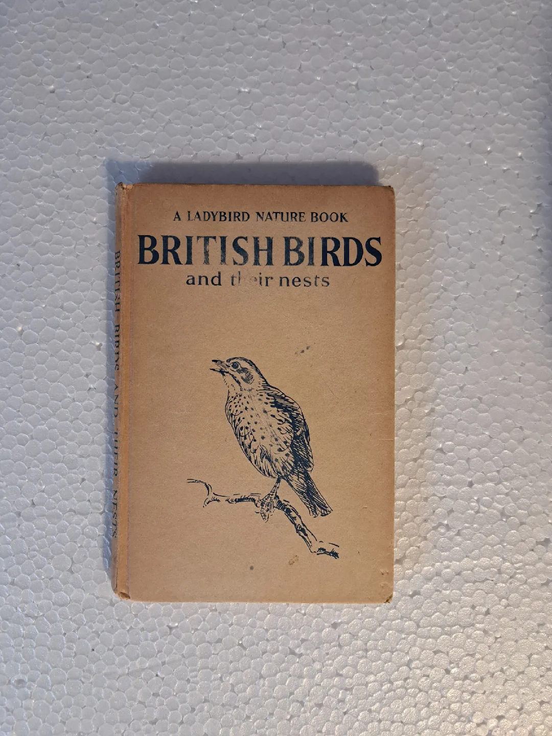 vintage children's nature book British Birds and Their Nests thumbnail