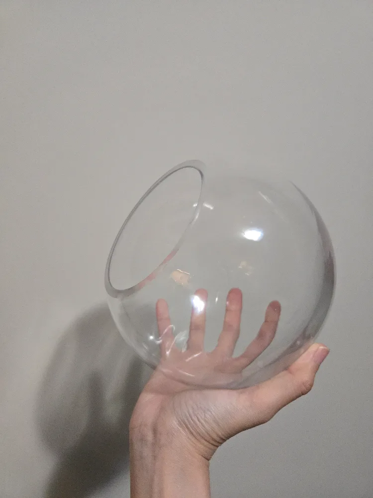 Clear Terrarium Vase M image indicator(2)