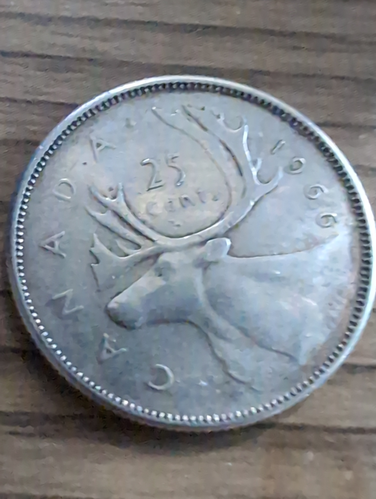 Canadian Silver Coin 🥕 - photo 3