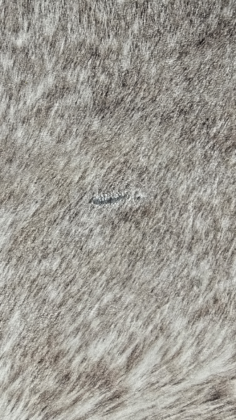 FauxCowhide Rug - Beige/Brown - photo 5