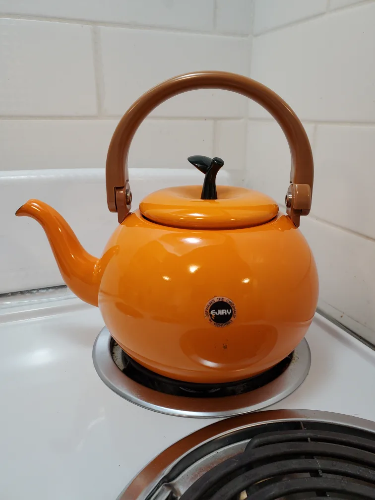 Ejiry Orange Kettle