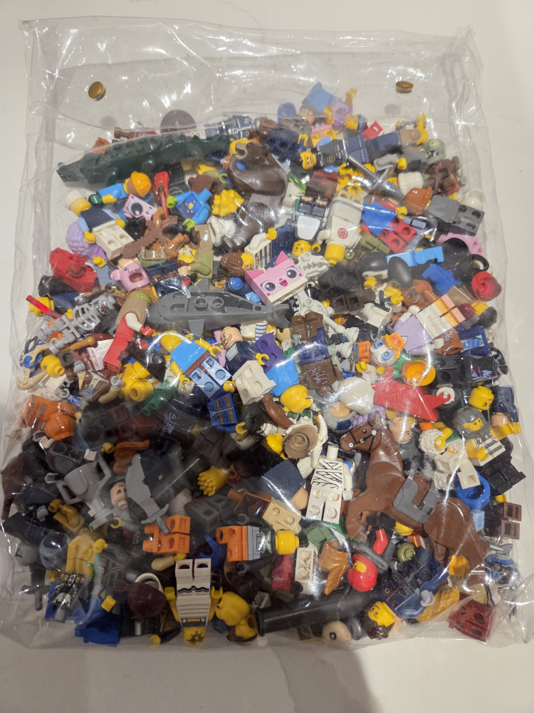 Bag of LEGO Pieces