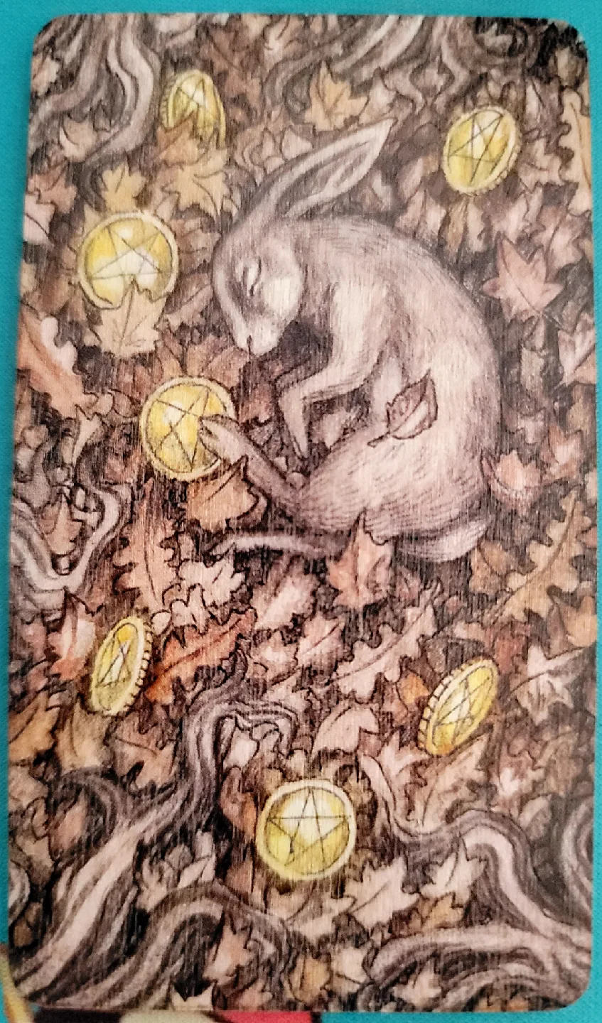 🥕 Wooden Magnets image indicator(5)