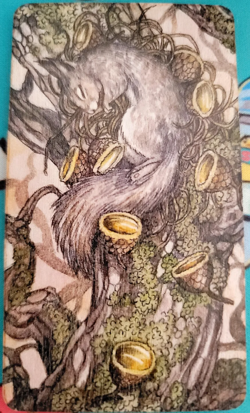 🥕 Wooden Magnets image indicator(6)