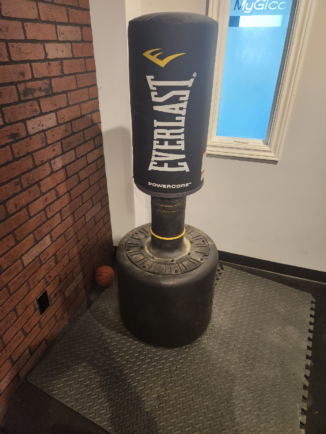 Everlast Powercore Free Standing Punching Bag