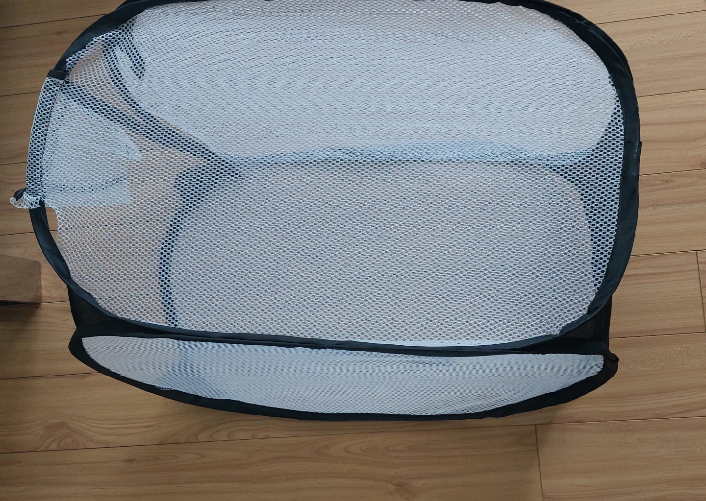 Pop-Up Laundry bag image indicator(3)