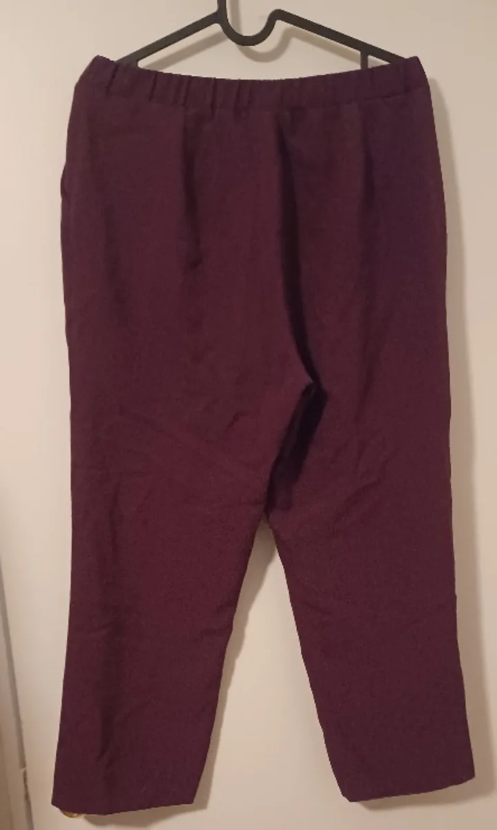 Burgundy Elastic Waist Pants image indicator(2)