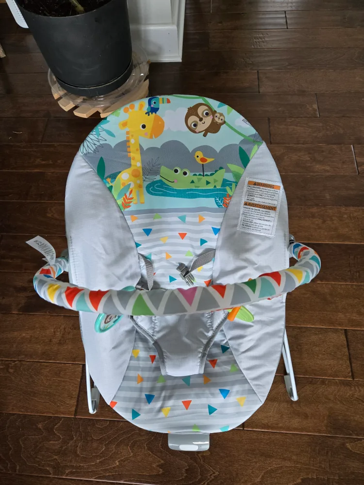 Bright Starts Bouncer - excellent condition image indicator(2)