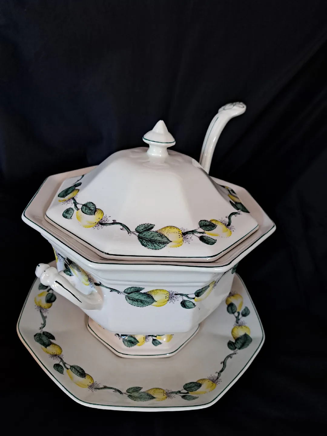Adams 'Vermont' Real English Ironstone Soup Tureen image indicator(2)