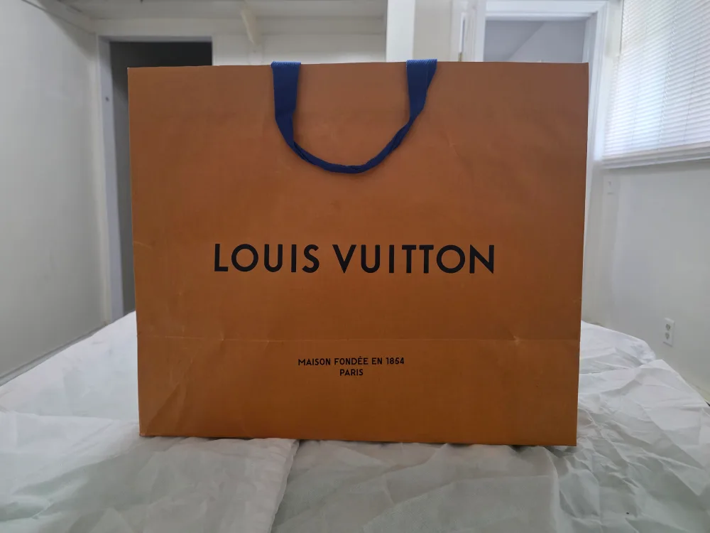 Empty Louis Vuitton Box and paper bag image indicator(5)