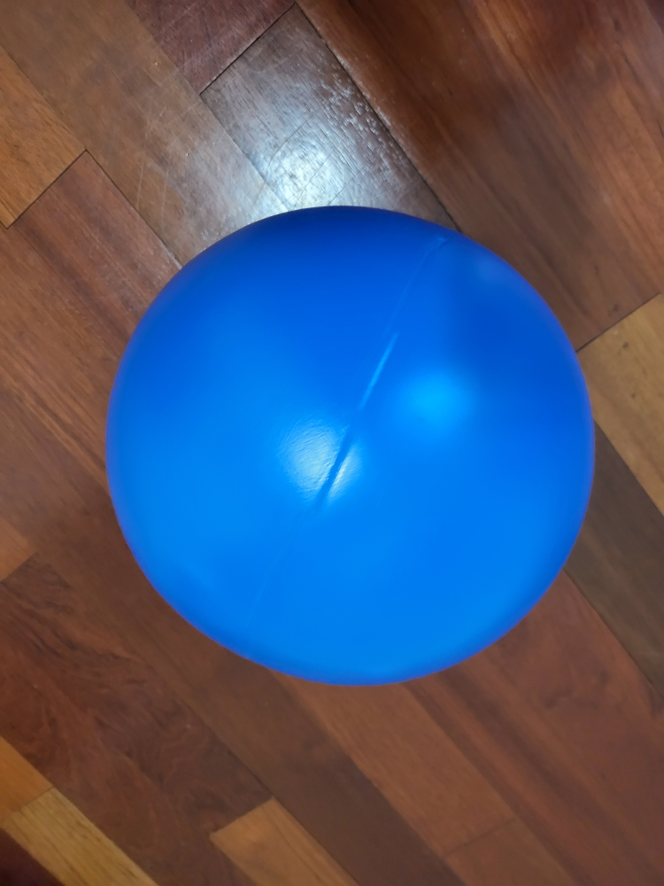 Herding Ball for Dogs, 10-inch