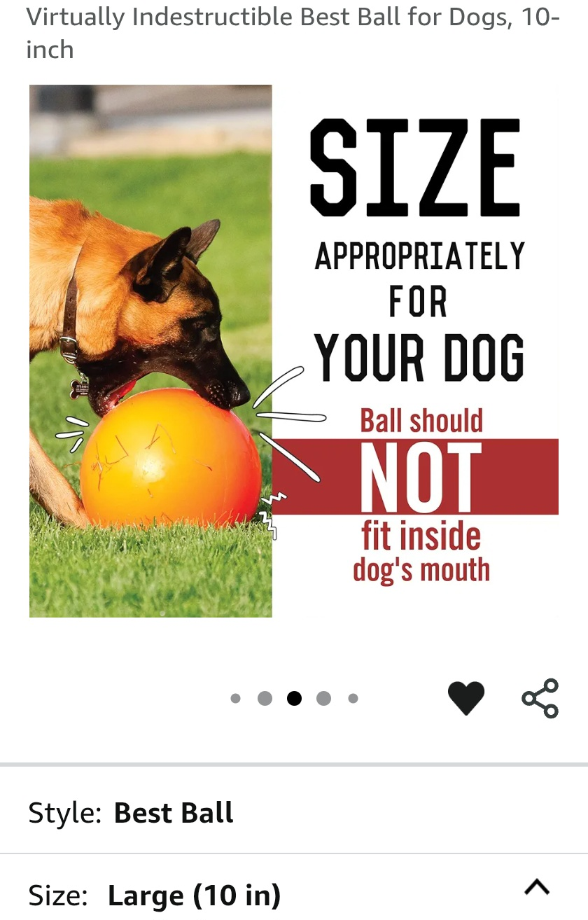 Herding Ball for Dogs, 10-inch - photo 3