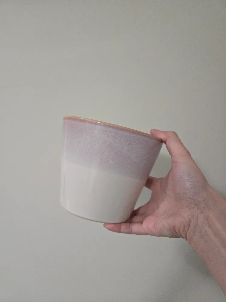 Premium Two-Tone Ceramic Planter, Pot 🥕 thumbnail