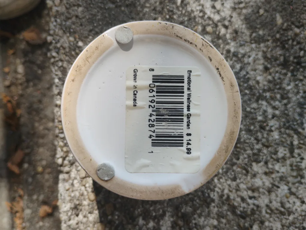 Emotional wellness garden image indicator(3)