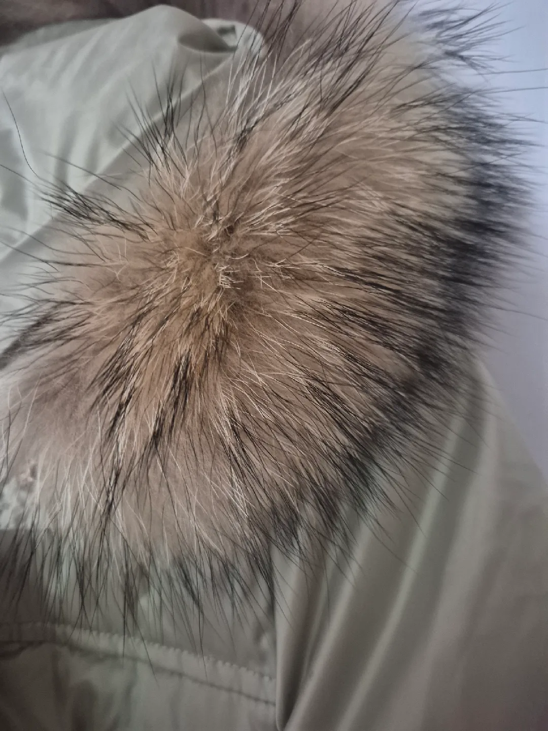 Fur Hooded Winter Jacket image indicator(2)