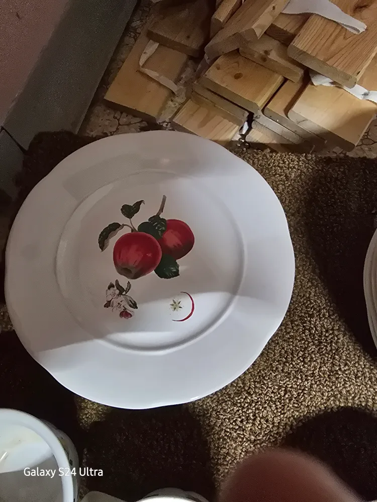 Vintage Fruit Patterned Dishes image indicator(5)