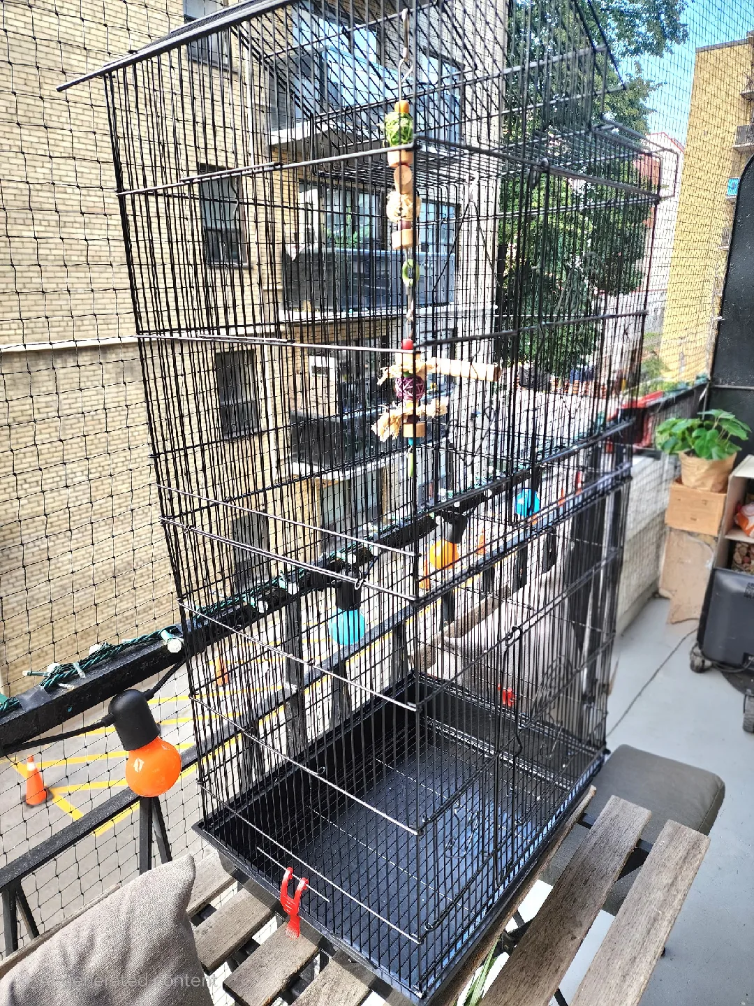 Large Birdcage thumbnail