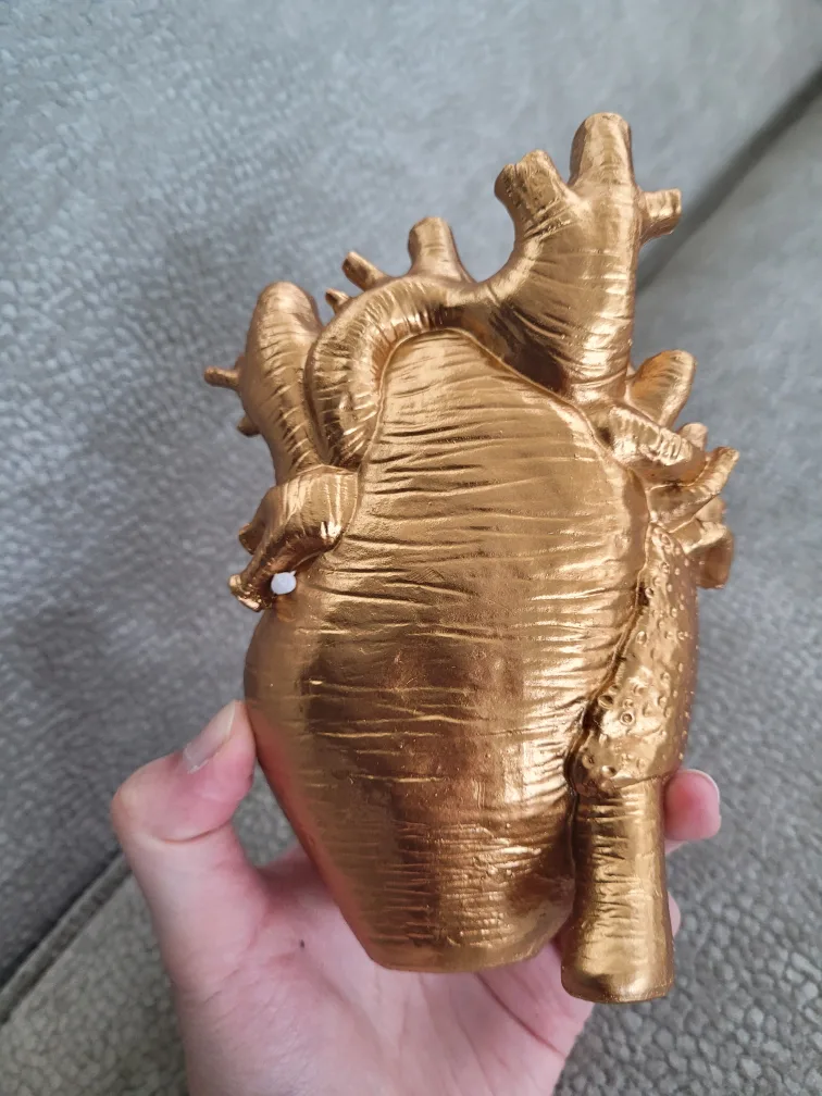 Anatomical Heart Model - Gold Colour image indicator(3)