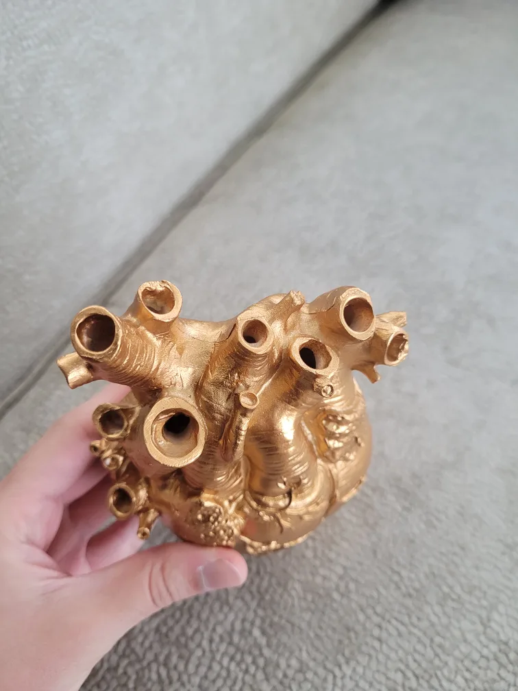 Anatomical Heart Model - Gold Colour image indicator(4)