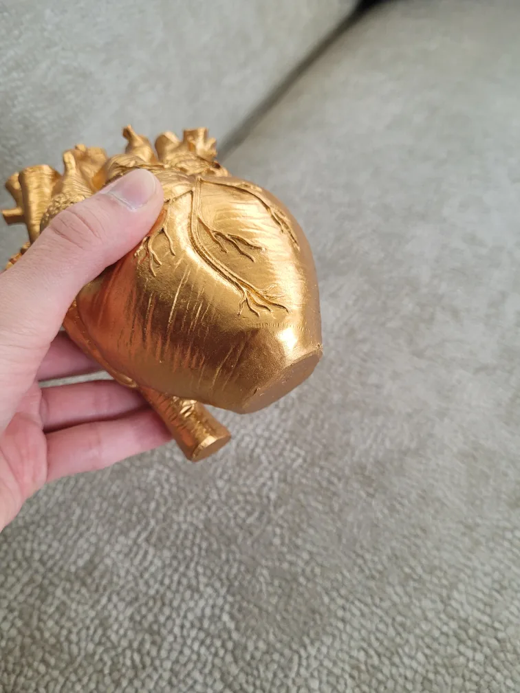 Anatomical Heart Model - Gold Colour image indicator(6)