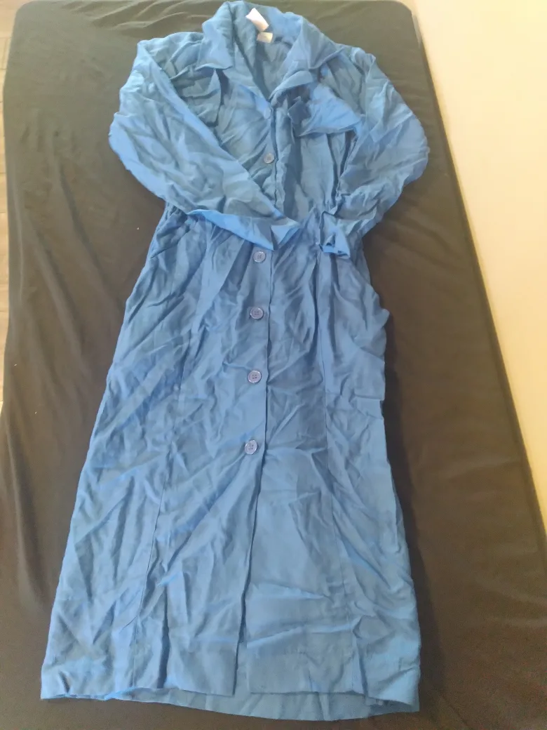 Vintage Blue Button-Down Dress thumbnail
