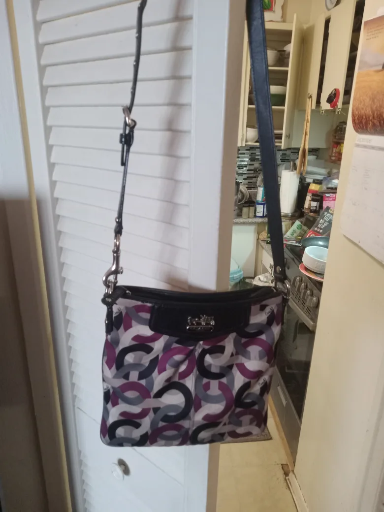 Coach Handbag image indicator(2)