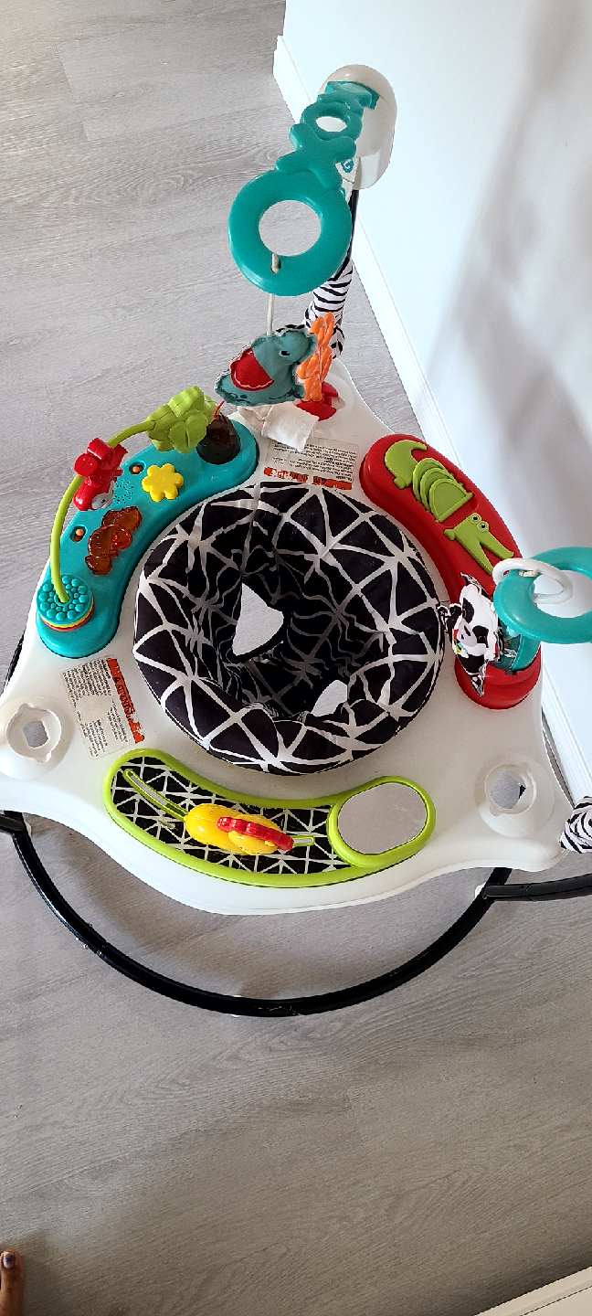 fisher price baby bouncer