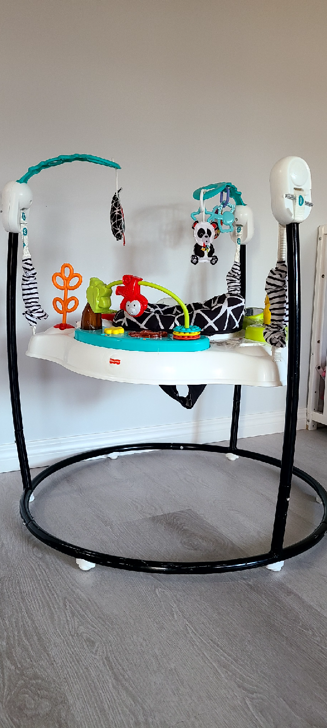 fisher price baby bouncer - photo 2