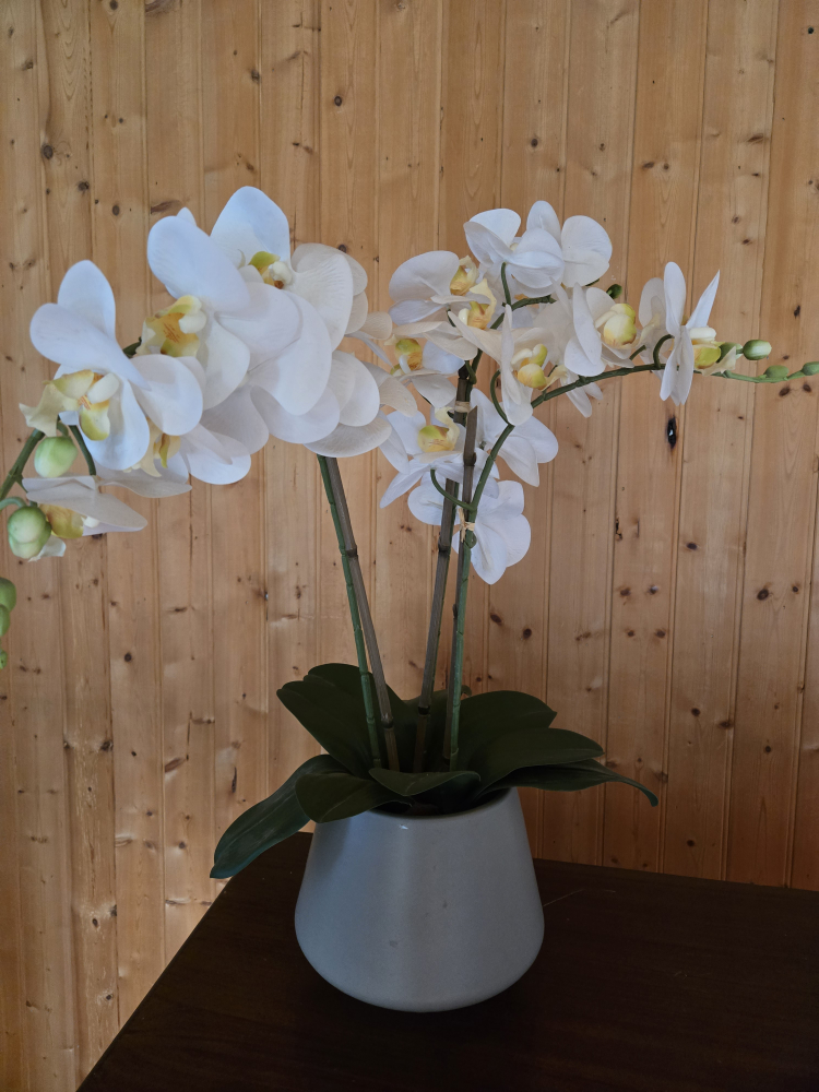 Artificial White Orchid in Grey Pot