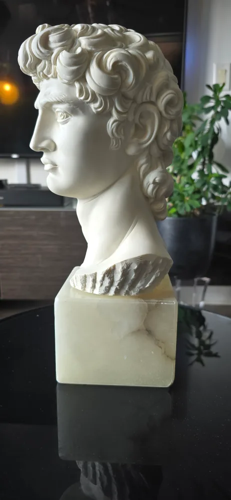 A. Giannelli David Bust Statue image indicator(4)