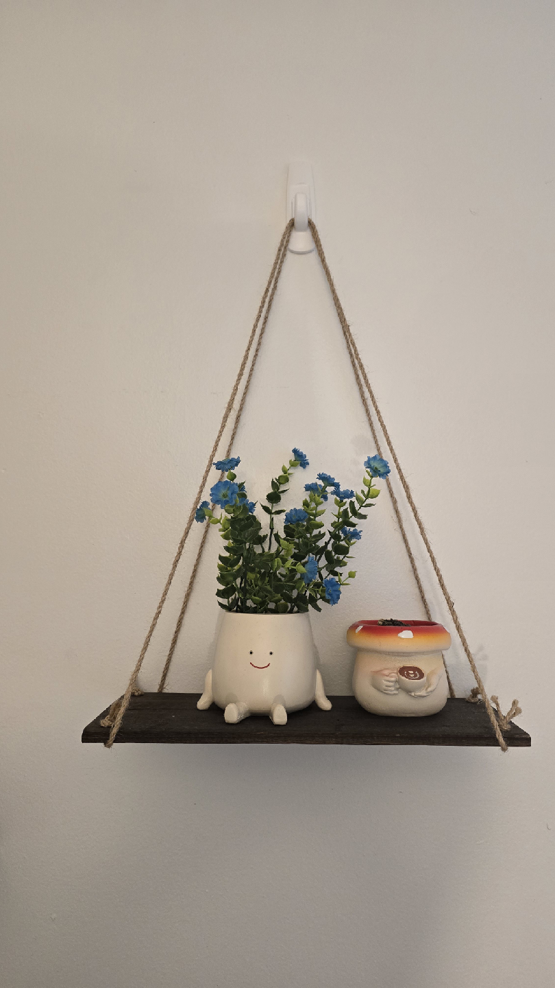 Hanging Rope Shelf
