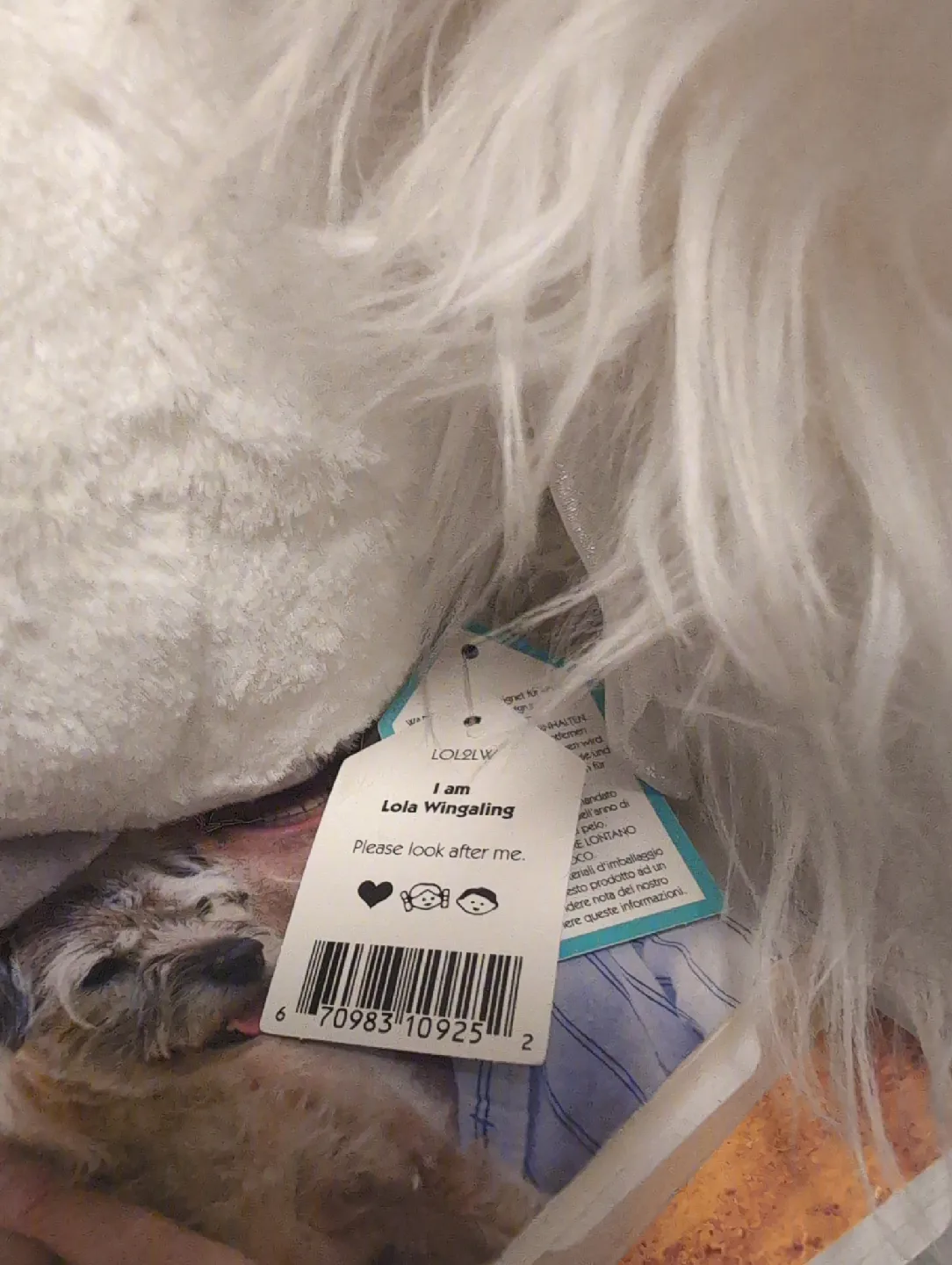 Jellycat Lola Wingaling Plush Toy image indicator(2)