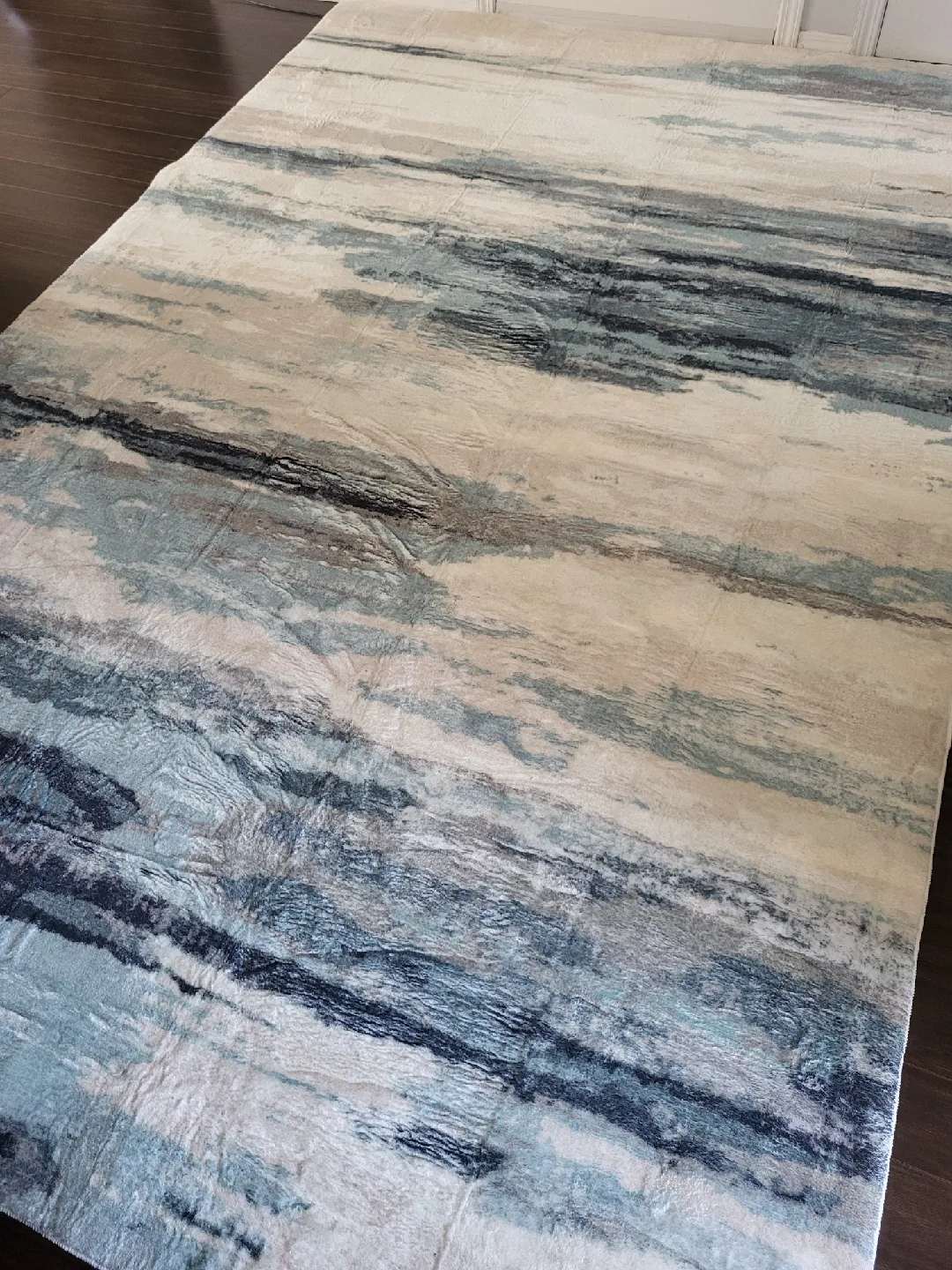 6.9ft X 10ft Area rug (Brand new) image indicator(5)