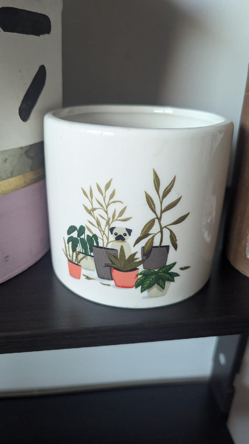 Plant Pots - photo 3