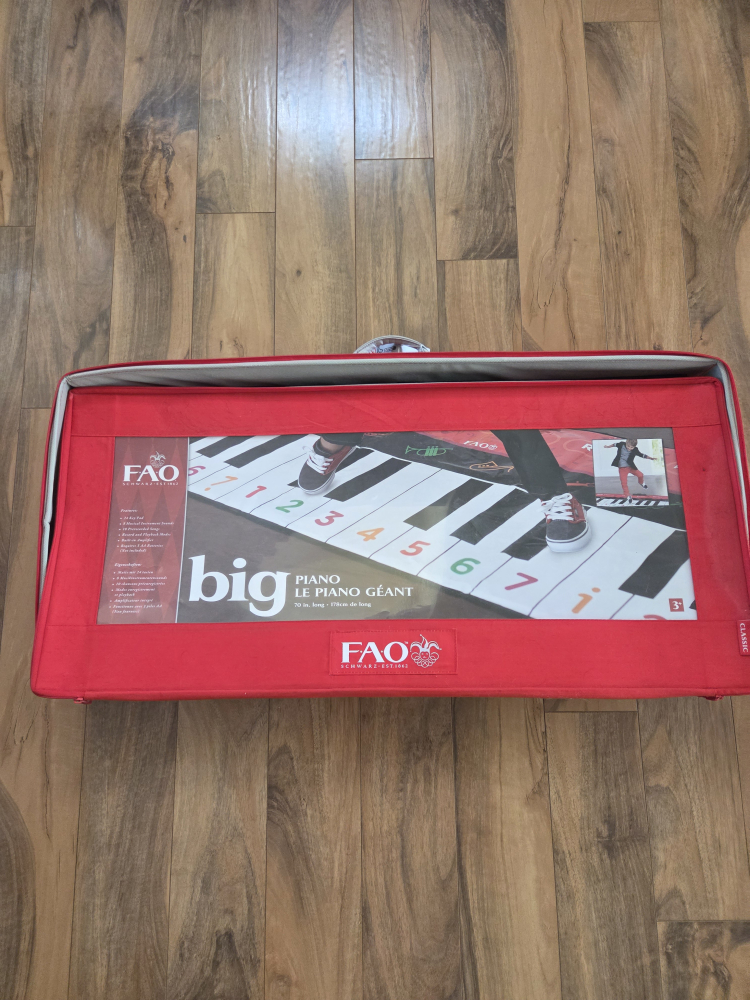 FAO Schwarz Big Piano Mat
