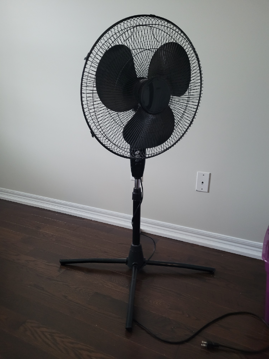 Black Standing Fan