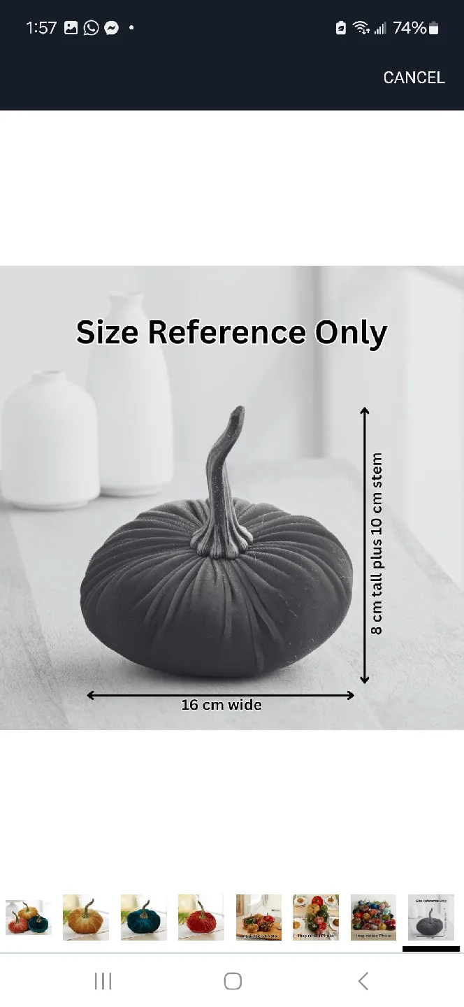 Velvet Pumpkins - Fall Decor image indicator(7)