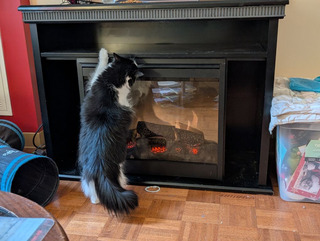 Electric Fireplace with Mantel - Black - photo 3