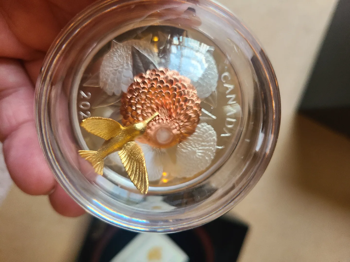 The Hummingbird and the Bloom 5oz Pure Silver Coin image indicator(5)